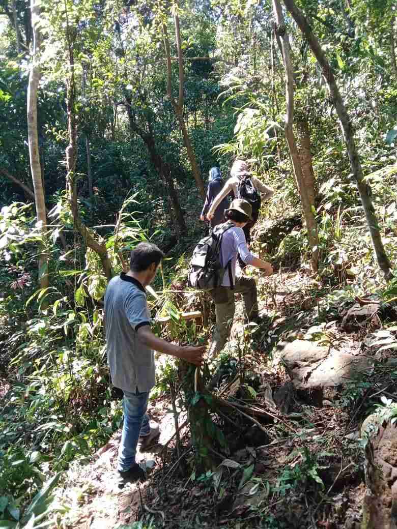 Geological mapping