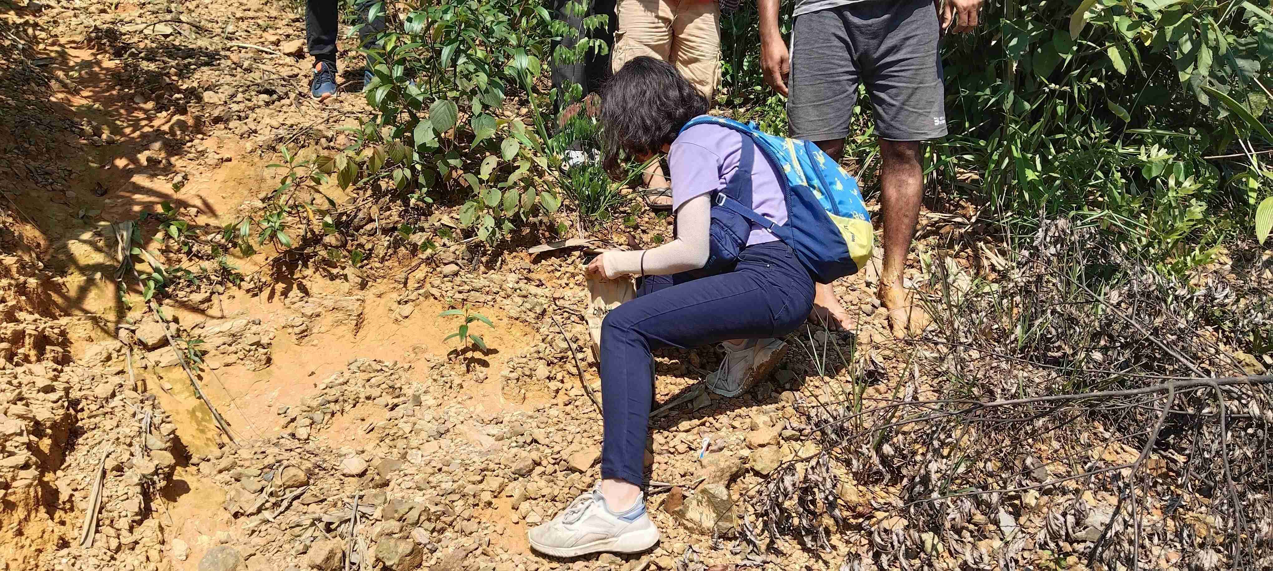 Geological mapping